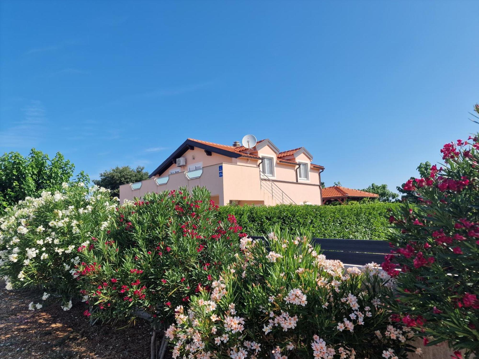 Villa Verbena Mala Cista Экстерьер фото